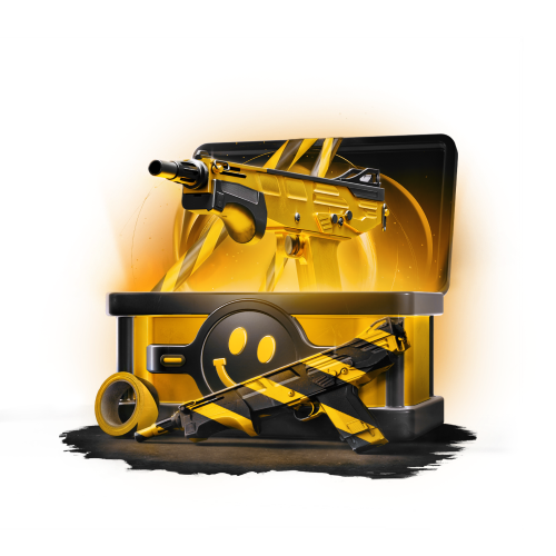 Mystery box 10% Dog + surprise box with a theme of 10%