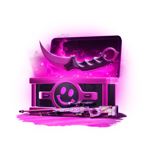 Mystery box Pink Preset + surprise box with a theme of 