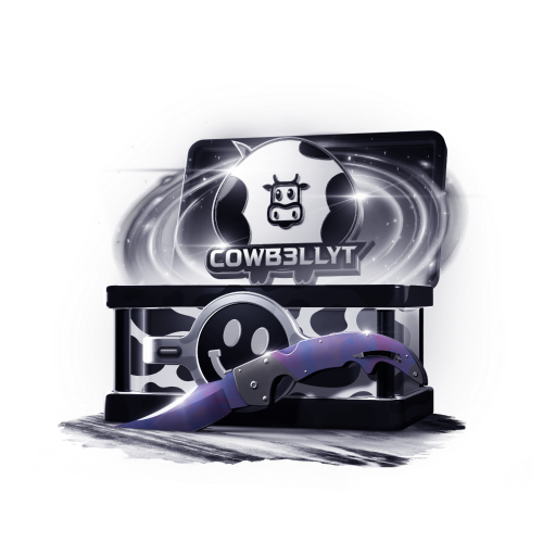 Mystery box Cowb3llyt + surprise box with a theme of Creators
