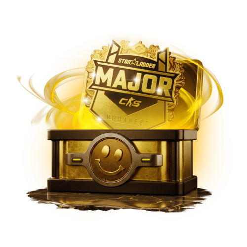 Mystery box StarLadder Budapest + surprise box with a theme of None